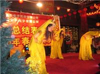 2006年春節(jié)晚會精彩瞬間